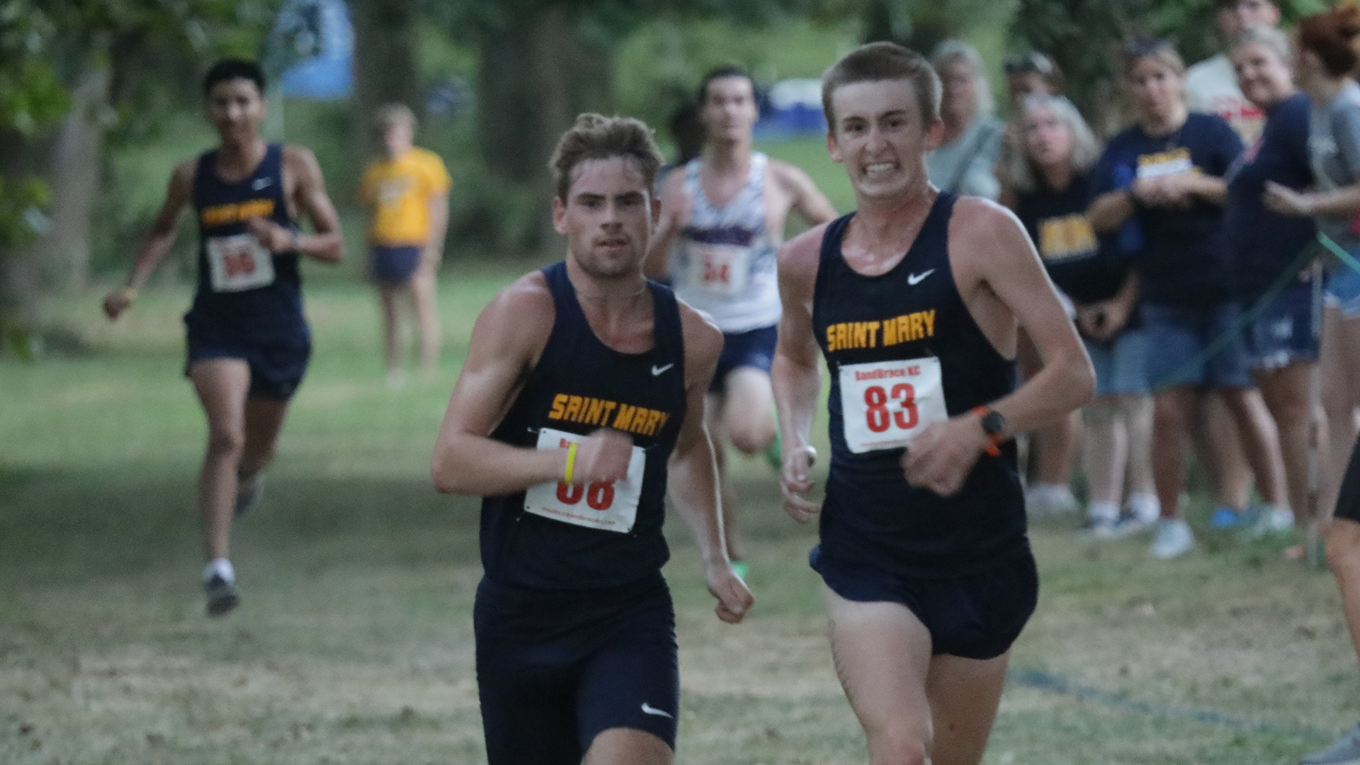 Men's Cross Country Takes Third Place at Greeno/ Dirksen Invotational