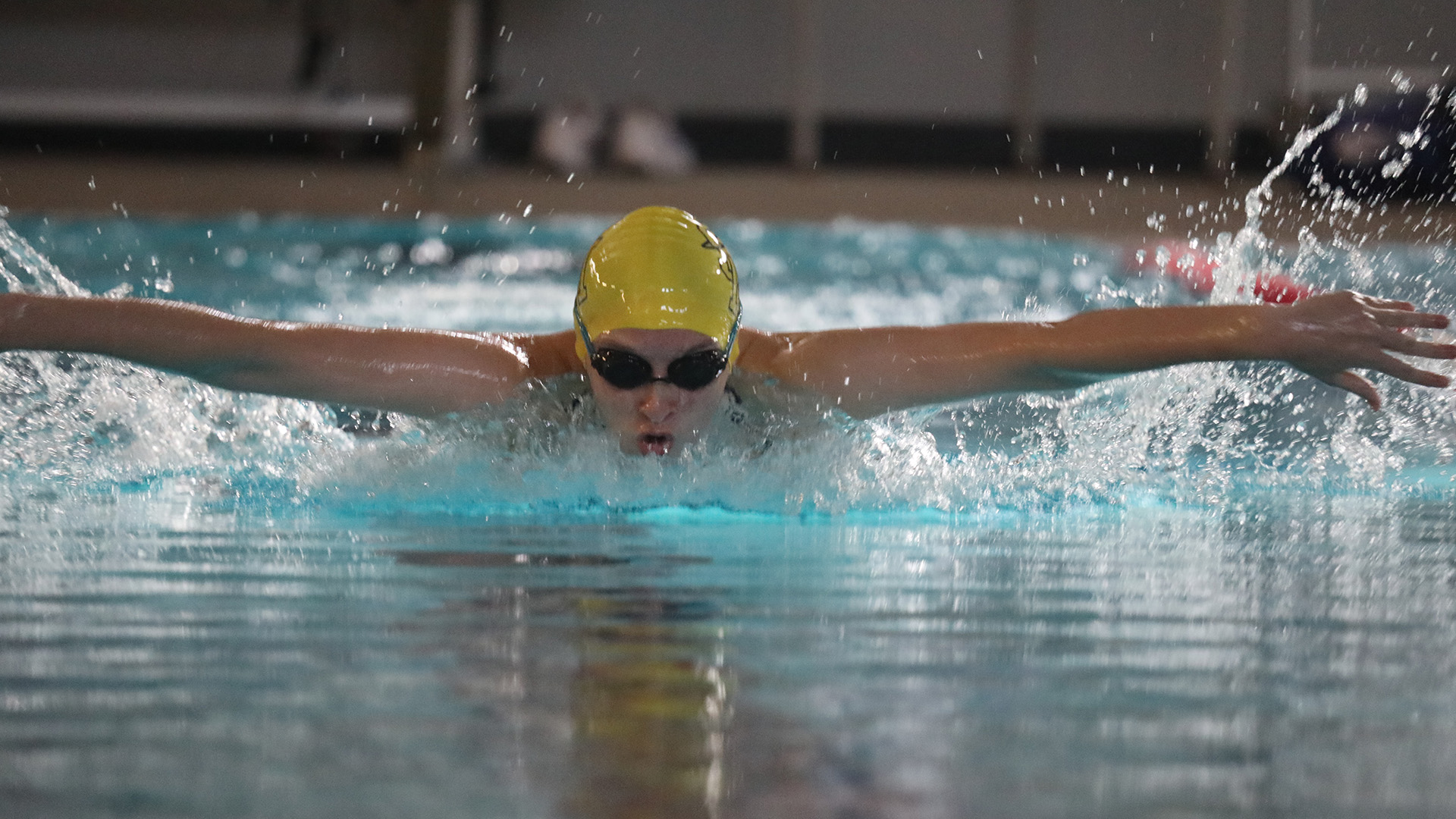 Women's Swim Has Dominant Performance On Senior Day