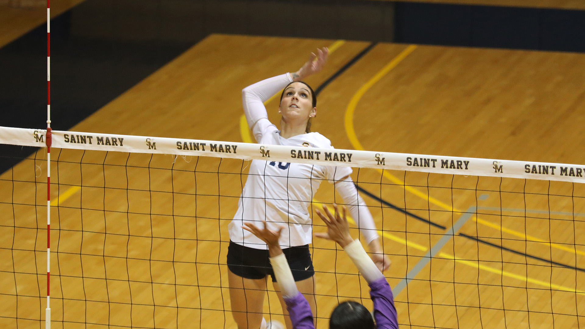 Volleyball Sweeps Blue Jays