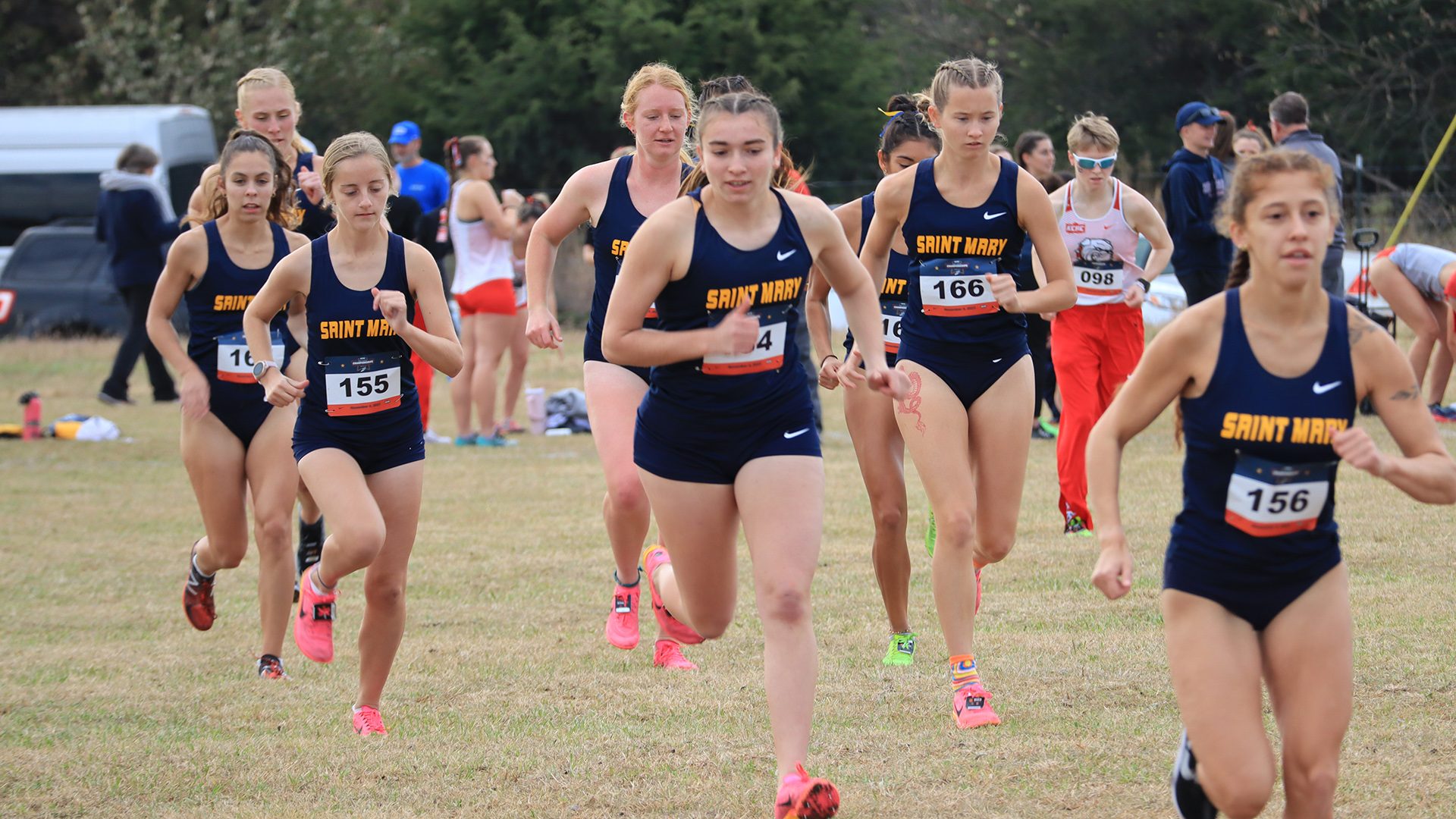 Seven Women's Cross Country Runners Named NAIA Scholar-Athletes